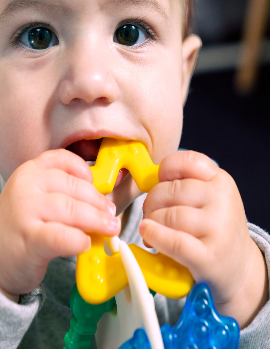 Juguete mordedera Baby Einstein 4 piezas
