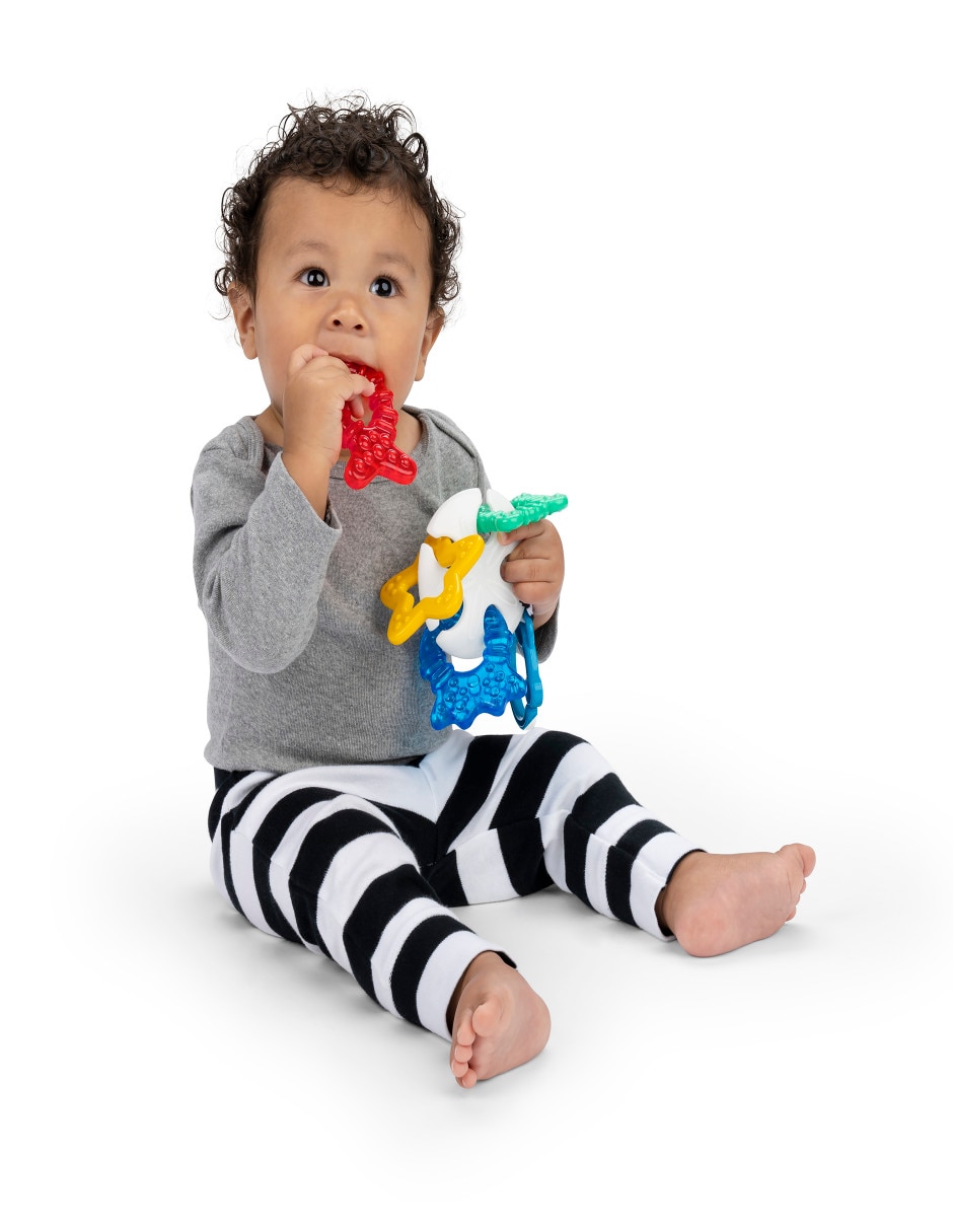 Juguete mordedera Baby Einstein 4 piezas