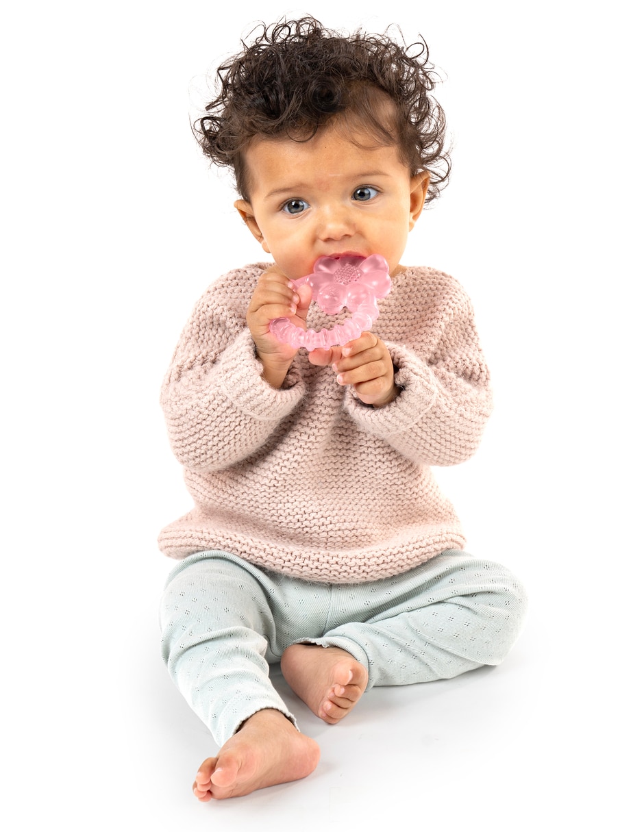 Mordedera Ity Cool Bite Water Teether Daisy 3