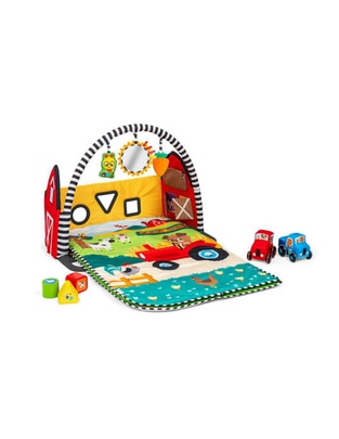 Gimnasio Baby Einstein