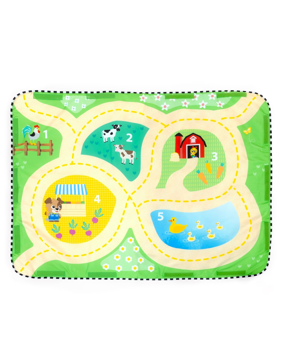 Gimnasio Baby Einstein