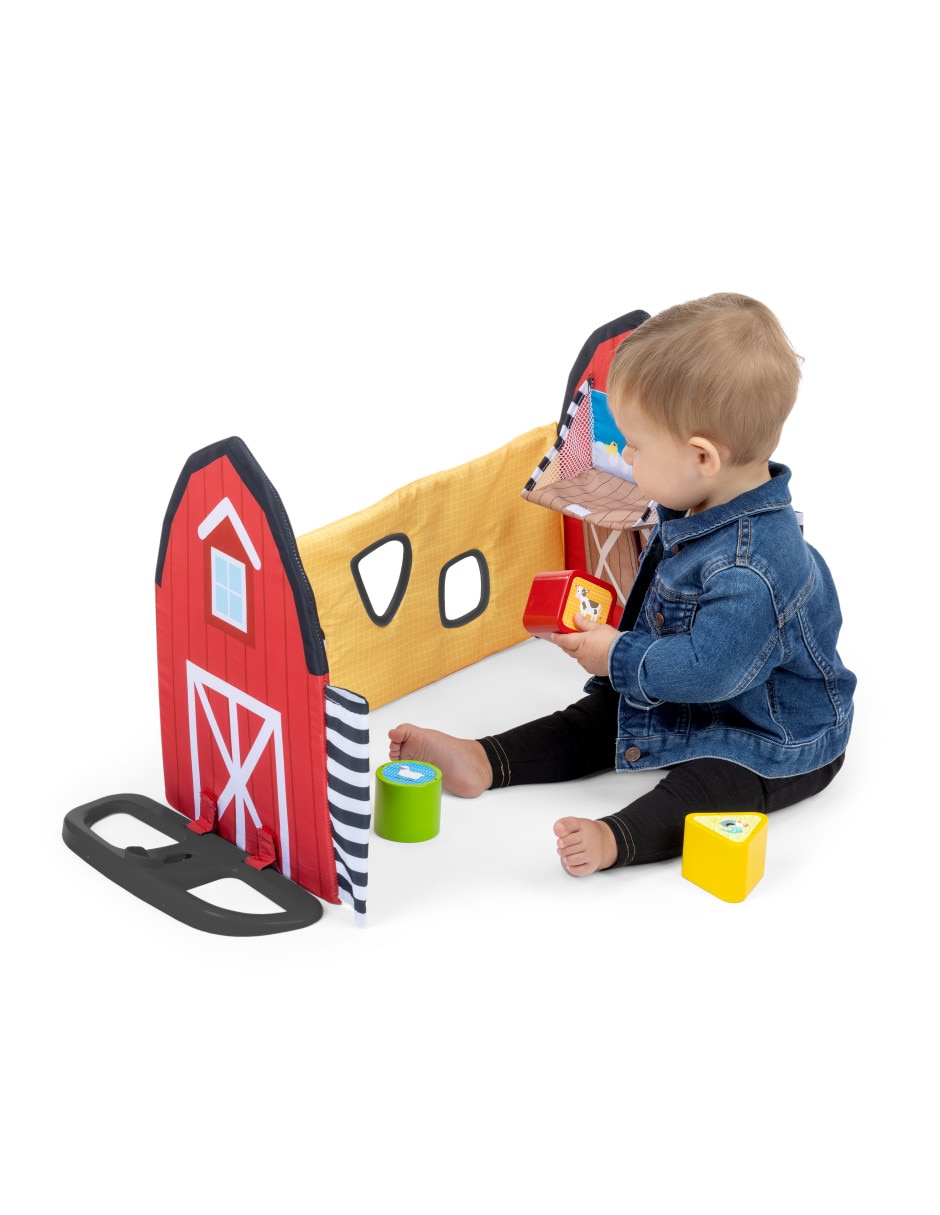 Gimnasio Baby Einstein