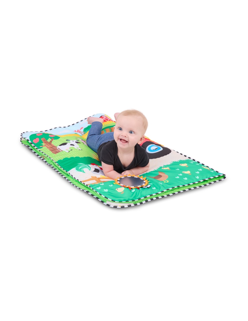 Gimnasio Baby Einstein