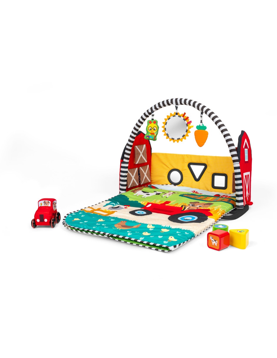 Gimnasio Baby Einstein
