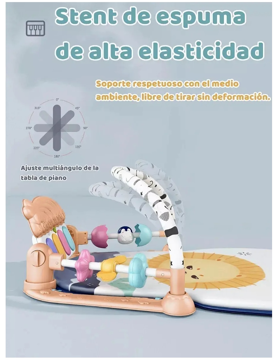 Gimnasio 3